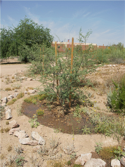 tempe berm water3 KM